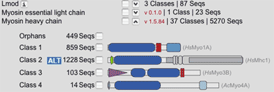 Example of the 'Protein Class' search module. Protein_classes