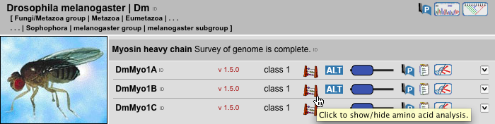 Sequences View