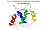 EF-Hand Calcium-Binding Proteins Data Library