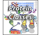 Search Proteins