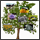 Search_tax_icon